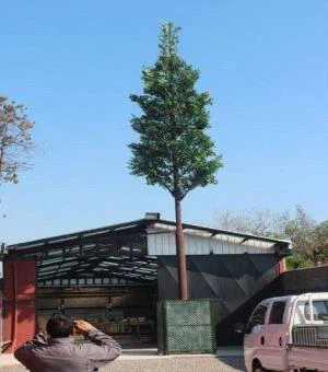 Bionic Pine Tree selil gwo kay won