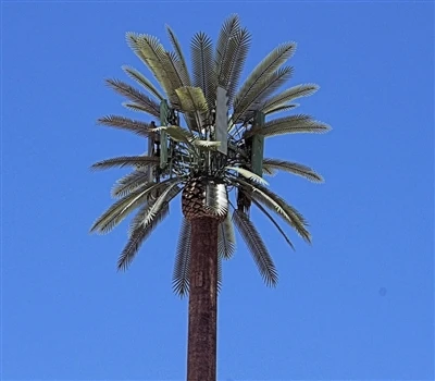why are cell towers disguised as trees