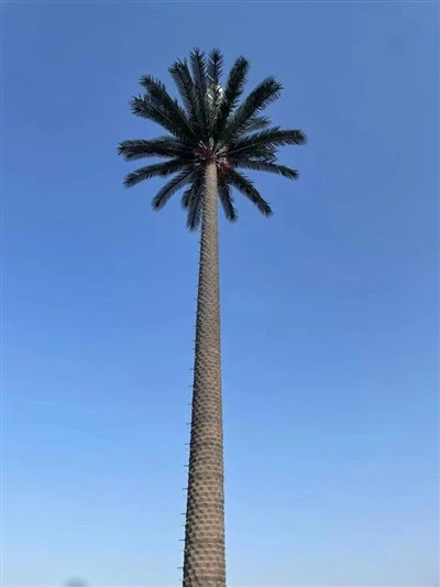 Sou entènèt jwèt Degize Cellphone Tower